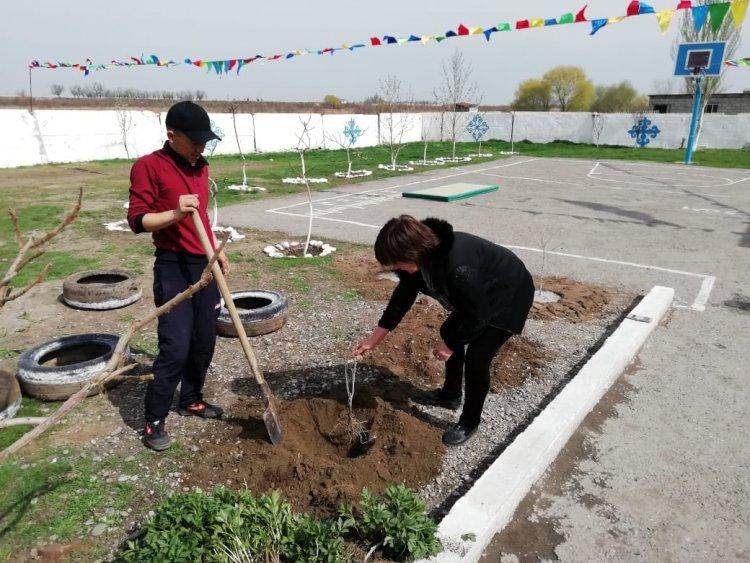 Қосақ негізгі мектебінде абаттандыру, көгалдандыру  және санитарлық тазалау күні